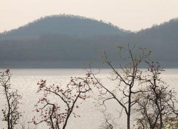 Kanha The Golden Nilgiri Jungle Resort 12