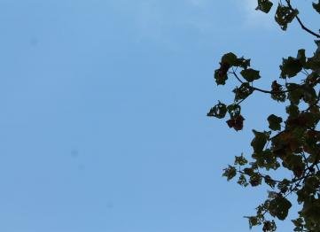 Kanha The Golden Nilgiri Jungle Resort 5