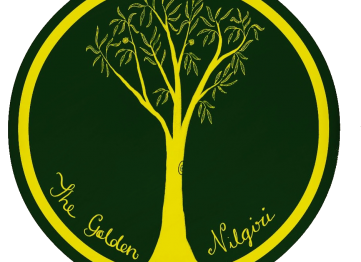 The Golden Nilgiri Jungle Resort